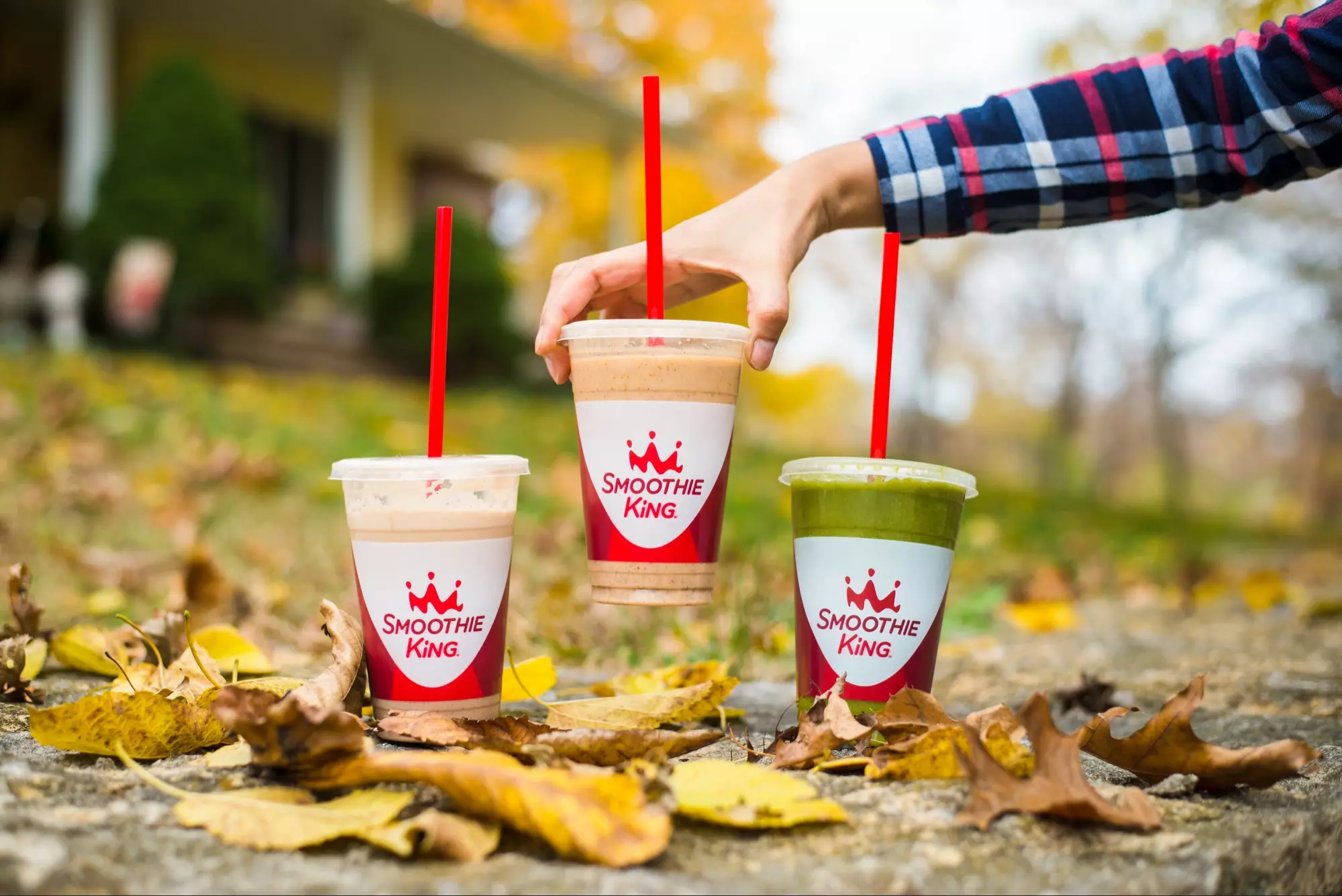 A hand placing a pumpkin meal replacement smoothie next to two others on fall leaves
